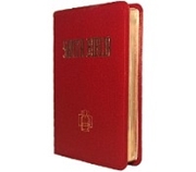 Bild von Santa Biblia RV 95