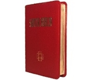 Bild von Santa Biblia RV 95
