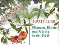 Bild von Pflanzen, Bäume und Früchte der Bibel