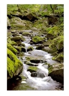 Bild von Glückwunschkarte "Flusslauf"
