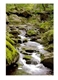 Bild von Glückwunschkarte "Flusslauf"