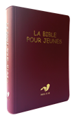 Bild von La Bible pour jeunes, avec DC
