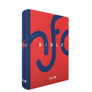 Bild von La Bible Nouvelle Français courant reliure rigide