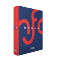 Bild von La Bible Nouvelle Français courant reliure rigide