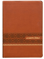 Bild von Bible Segond 1910 à gros caractères