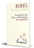 Bild von Bibel in Leichter Sprache von Bauer, Dieter 