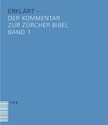 Bild von bibel(plus) - erklärt von Krieg, Matthias (Hrsg.) 