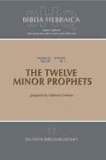 Cover-Bild zu Biblia Hebraica Quinta (BHQ). Gesamtwerk zur Fortsetzung / The Twelve Minor Prophets von Gelston, Anthony (Bearb.)