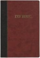 Bild von Schlachter 2000 Bibel - Großdruckausgabe (Softcover, grau/braun)