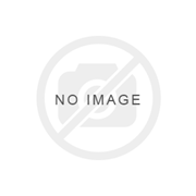 Bild von KJV-Audio, non Drama, MP3